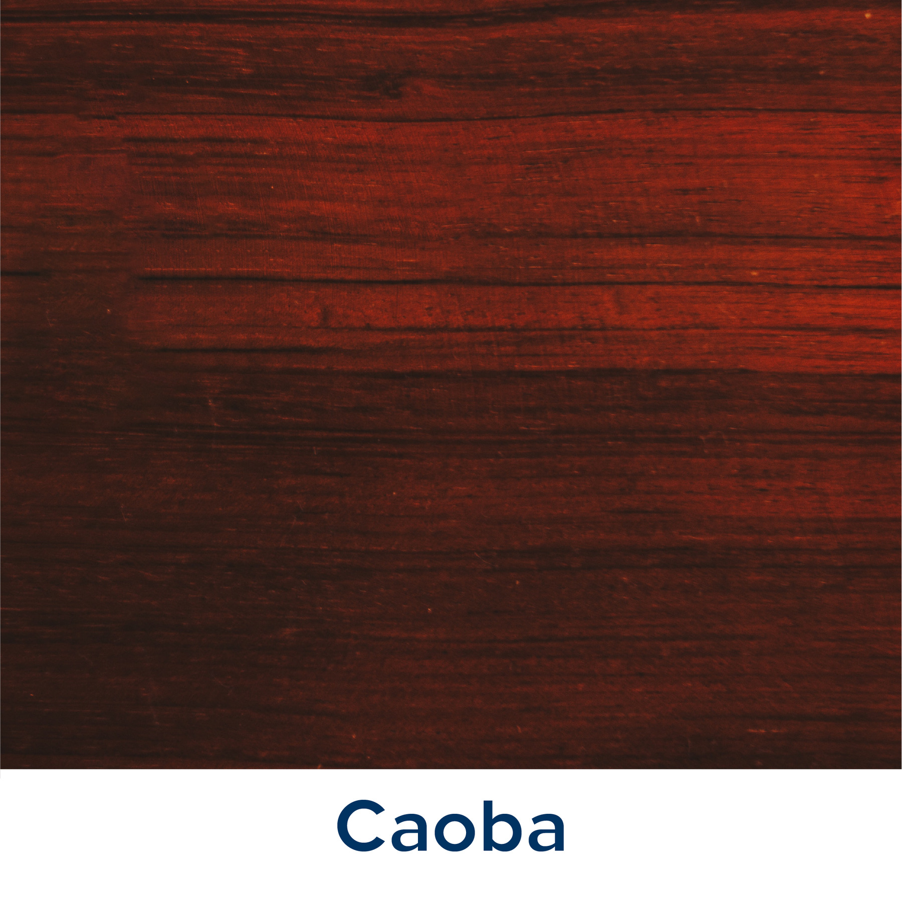 Caoba