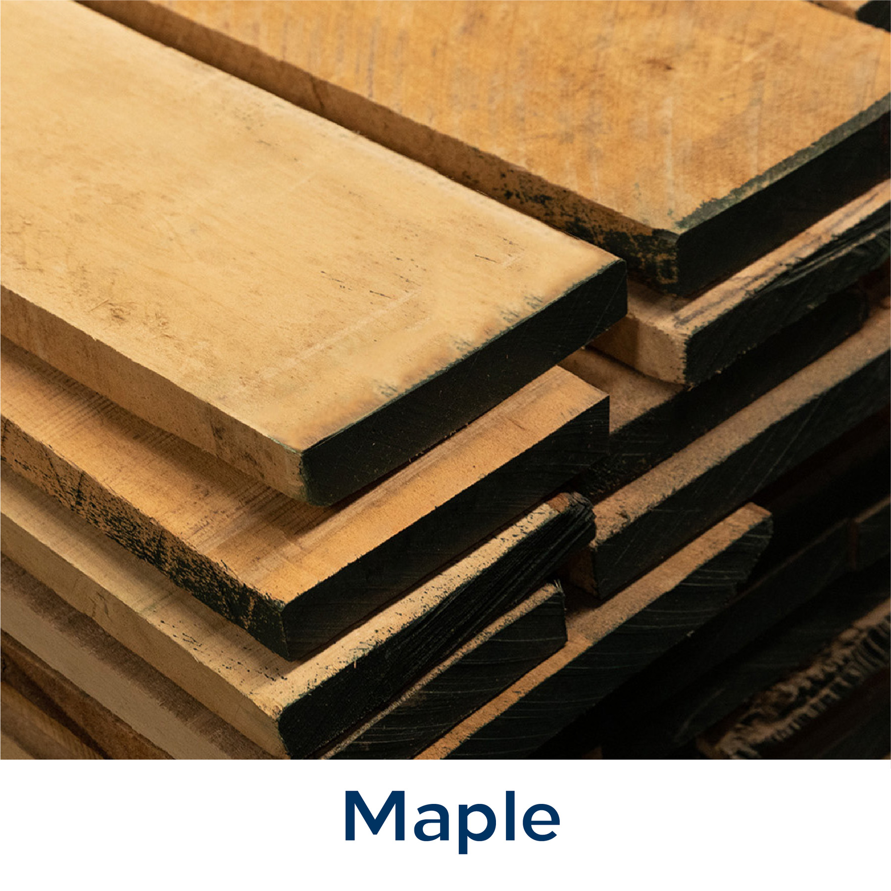 Maple