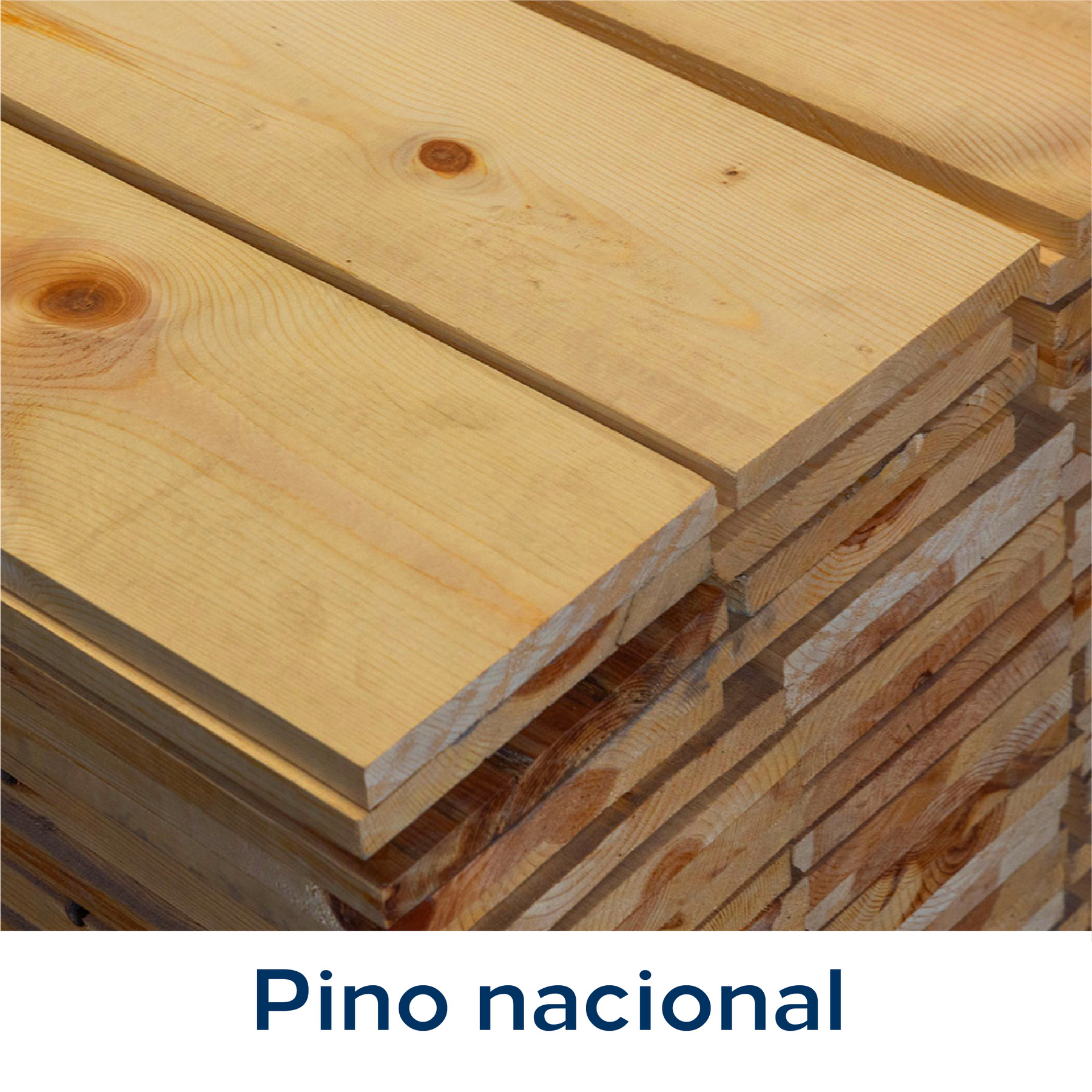 Pino nacional