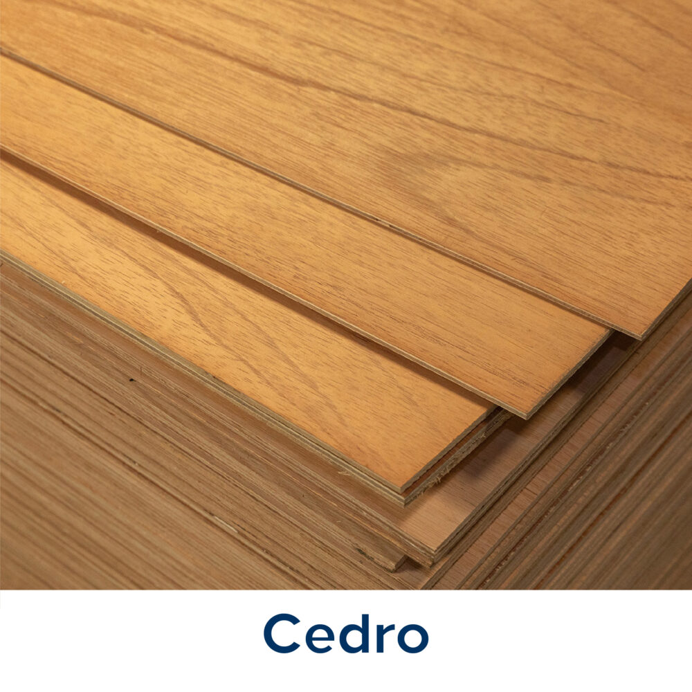 Cedro