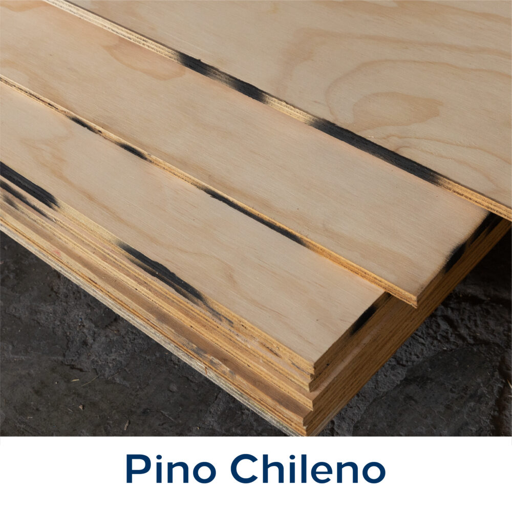 Triplay Pino Chileno