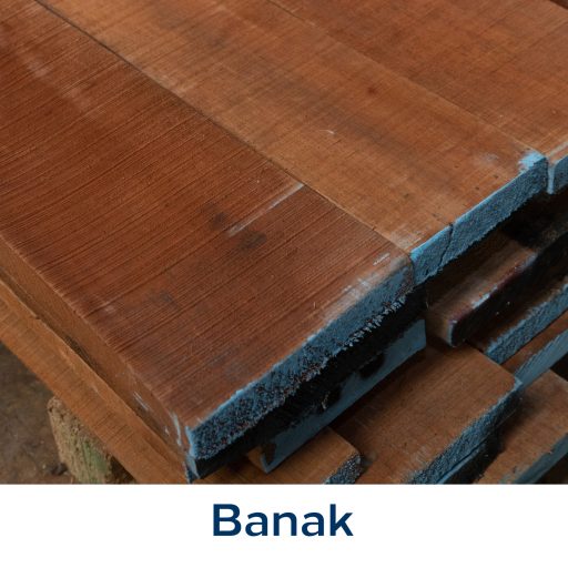 Banak