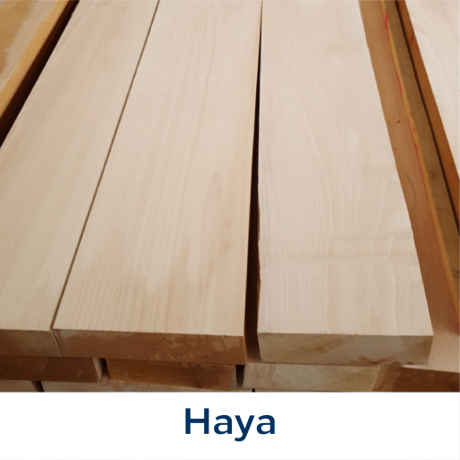 Haya-08