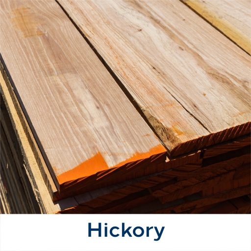 Hickory